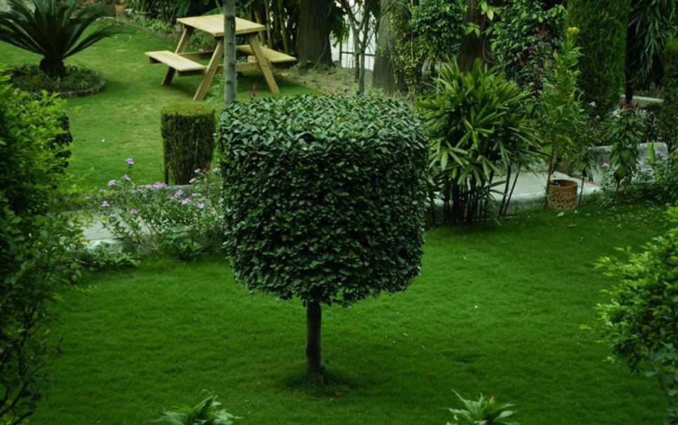 Outdoor view Photo