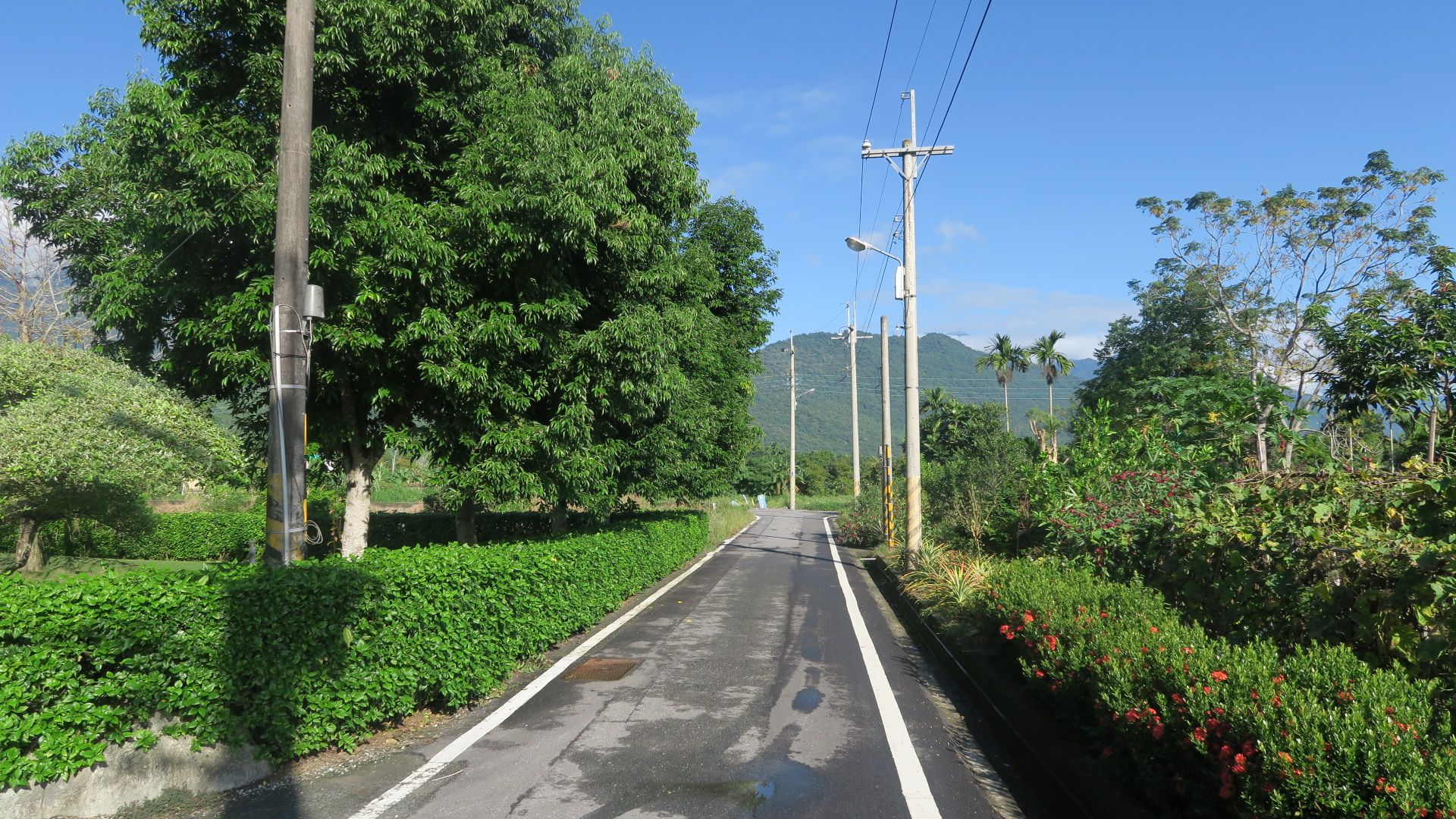 Outdoor view