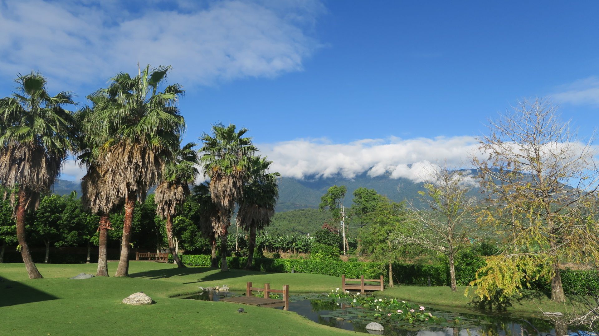 Outdoor view