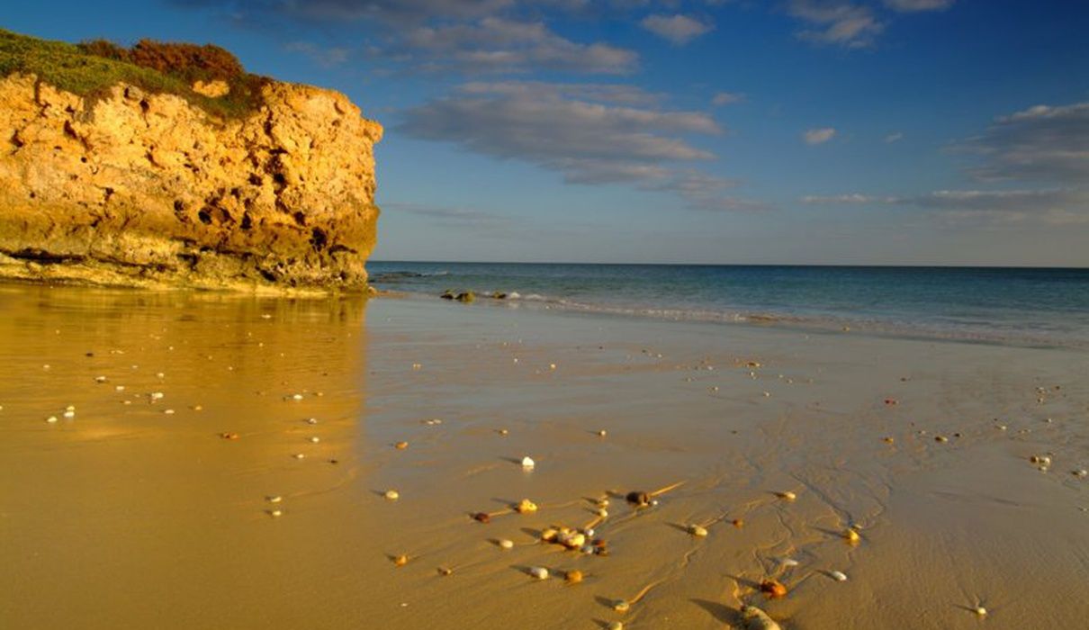 Beach Photo