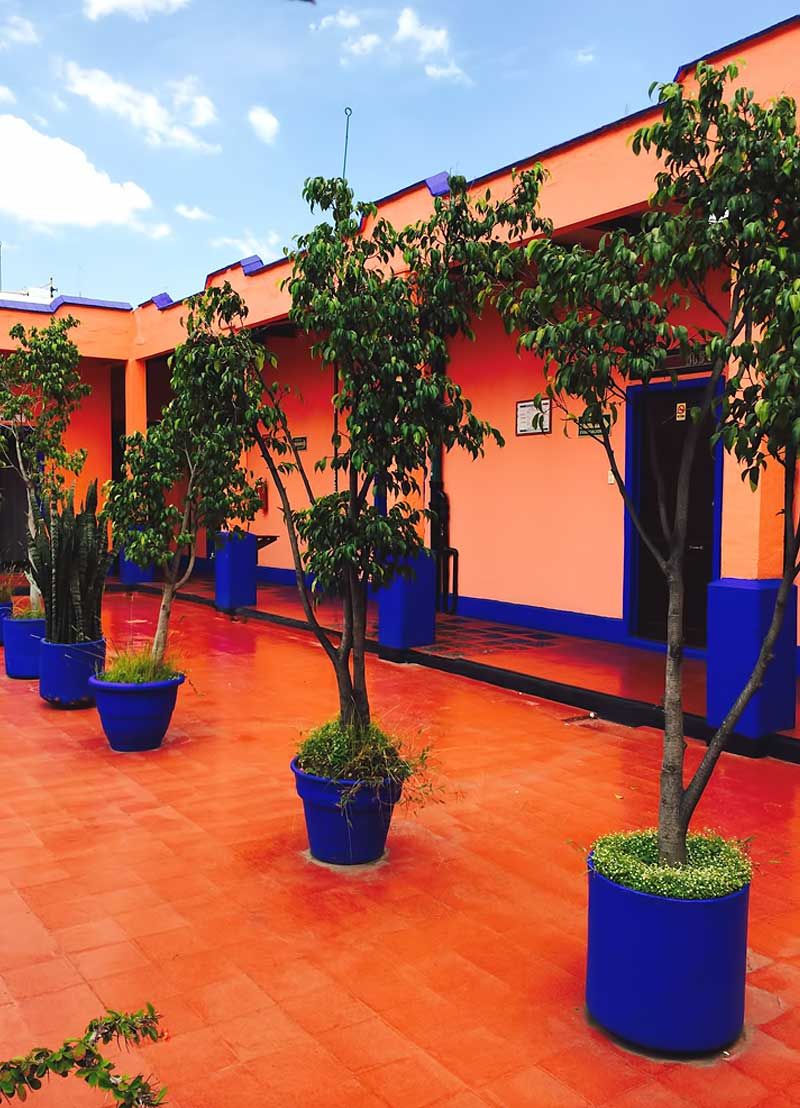 Outdoor view