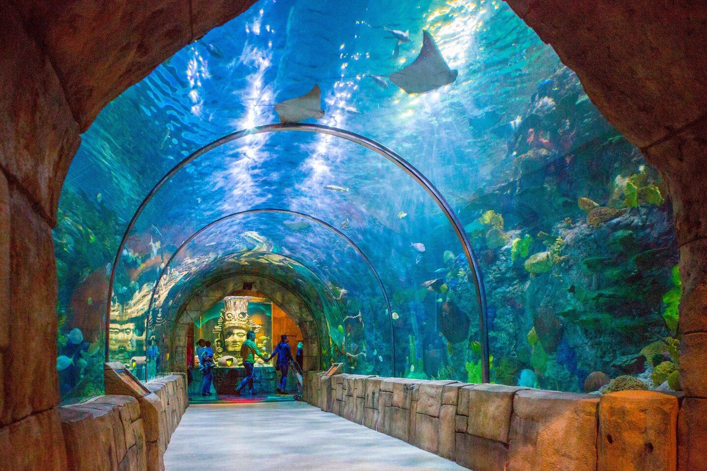 Attractions