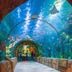 Attractions