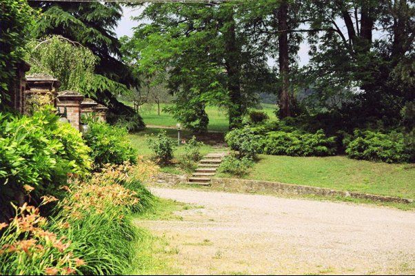 Outdoor view