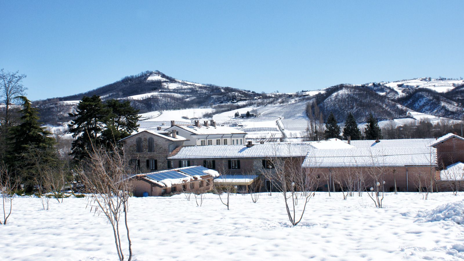 Outdoor view