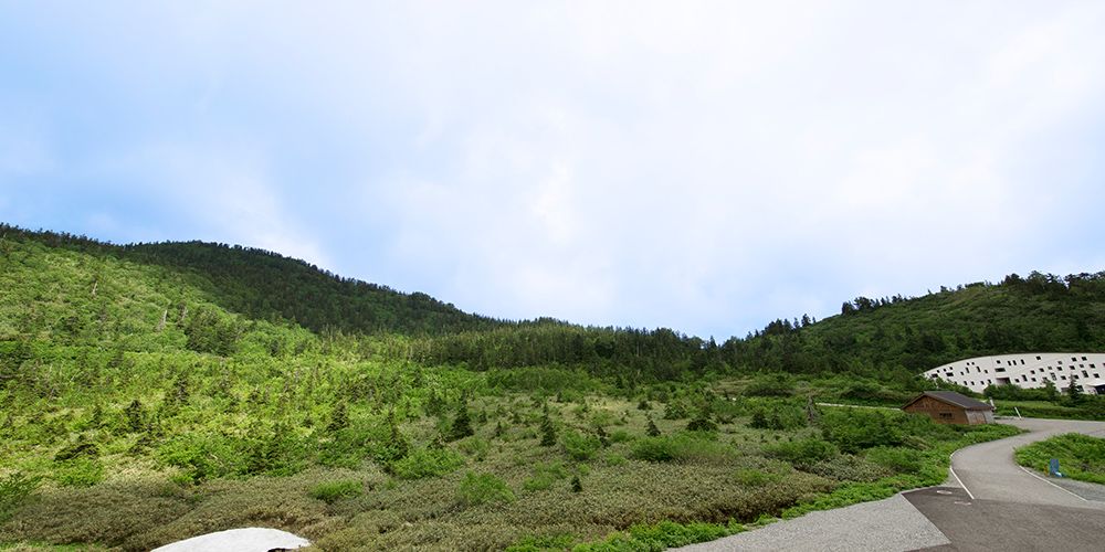 Outdoor view