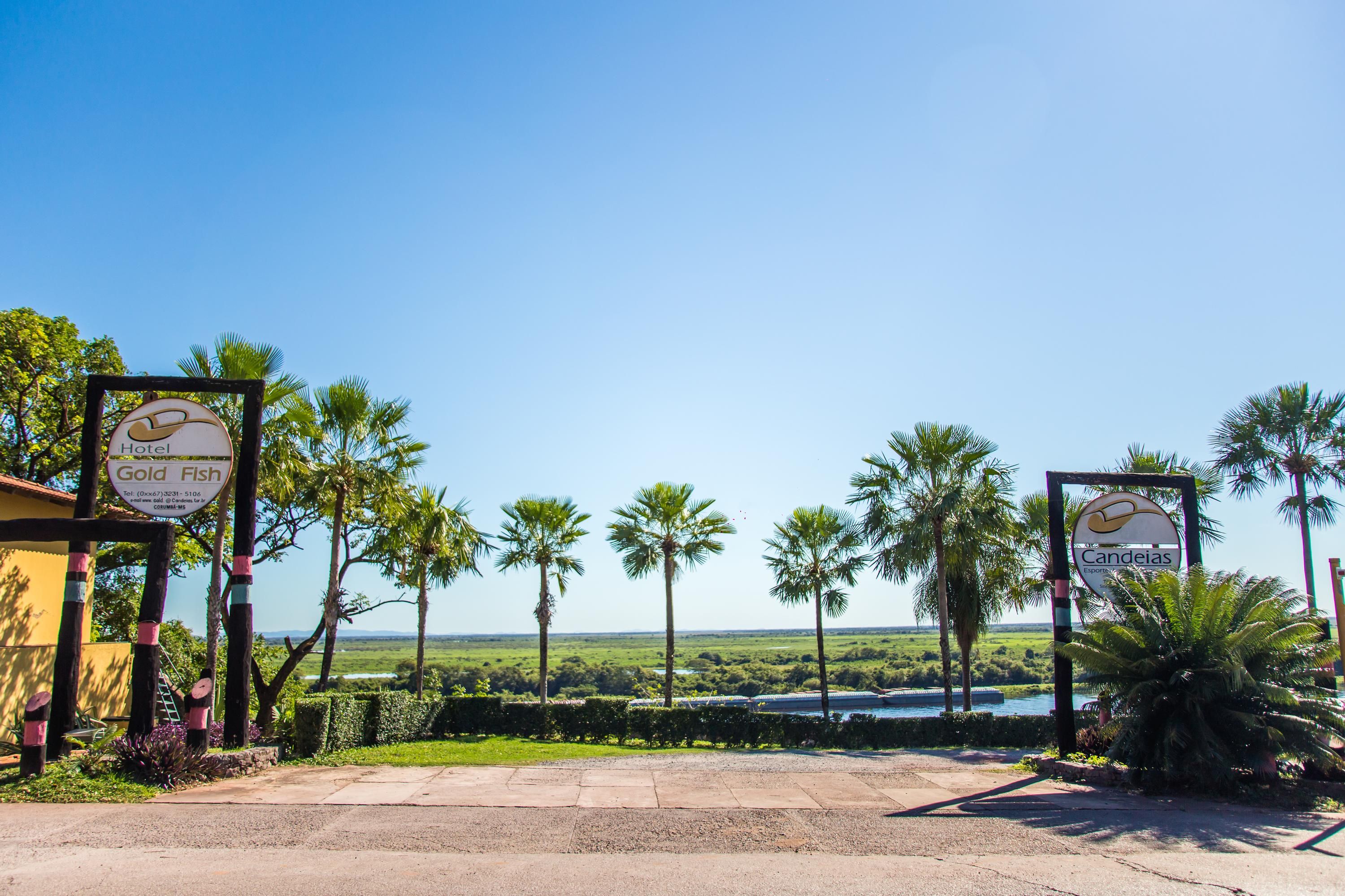 Outdoor view